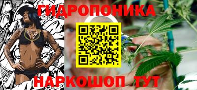 гидра Нальчик