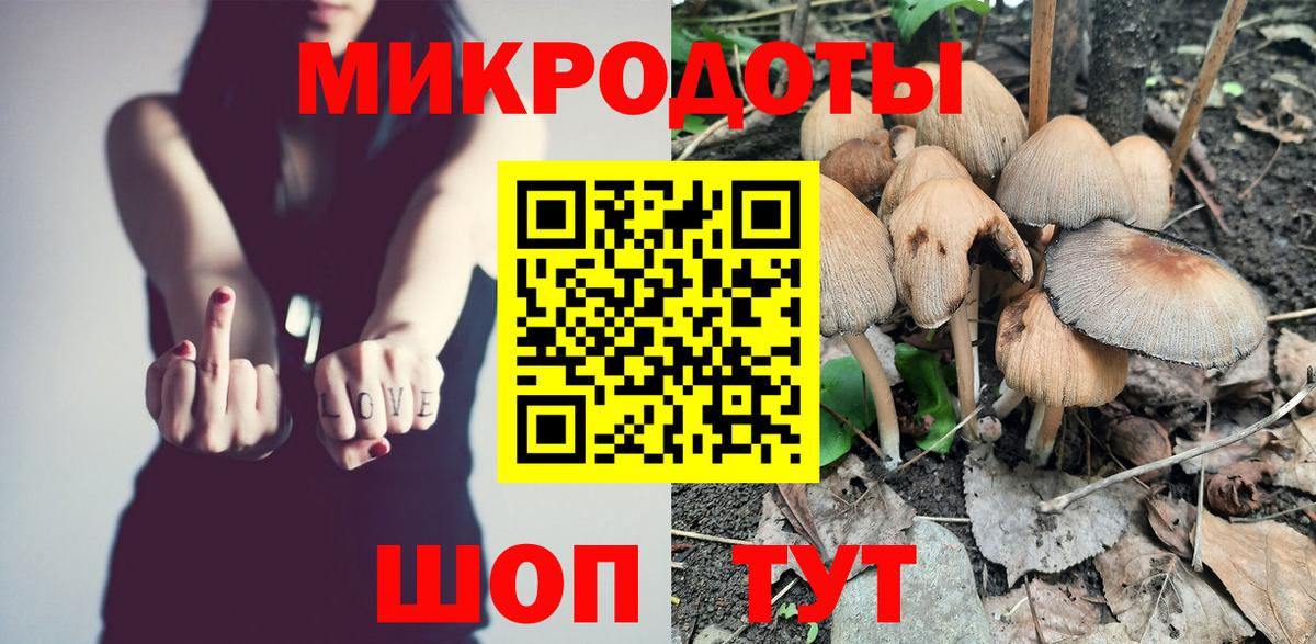 Галлюциногенные грибы Psilocybine cubensis Великие Луки