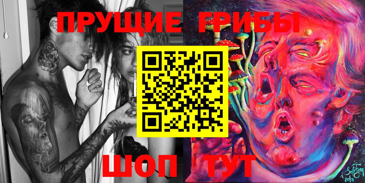 Псилоцибиновые грибы Psilocybe  Вход с VPN  Псилоцибиновые грибы прущие грибы  Великие Луки 